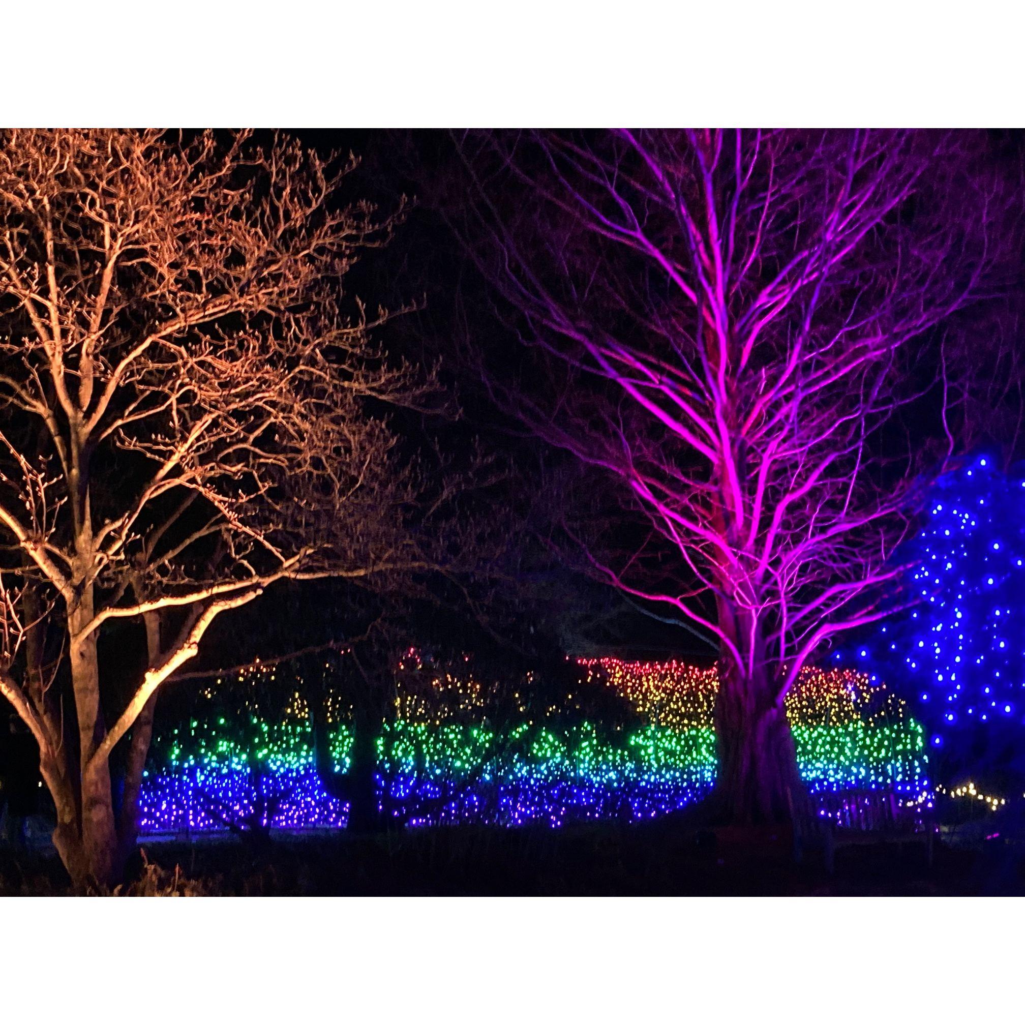 Tower Hill Botanic Garden