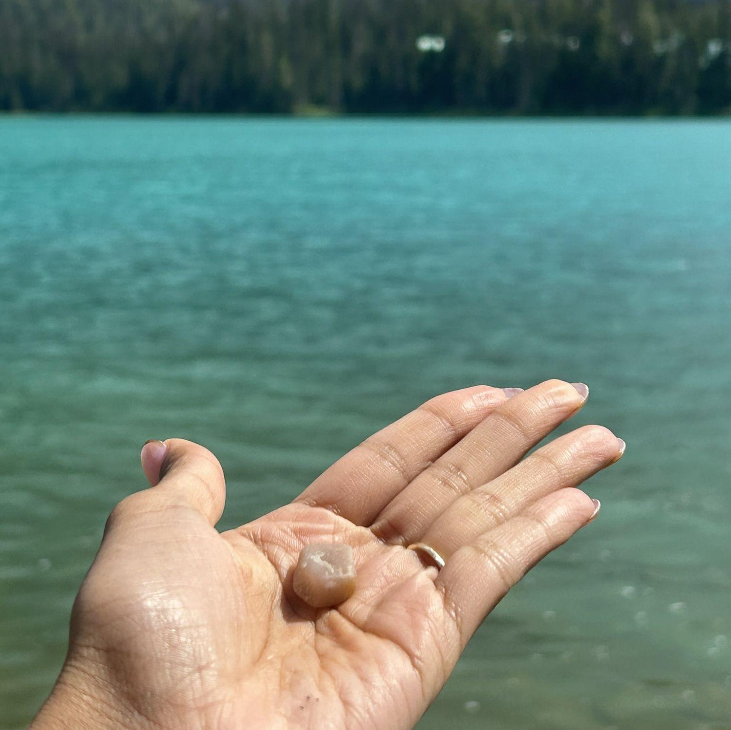 I asked for a pebble at the beginning of our relationship, just like a penguin.