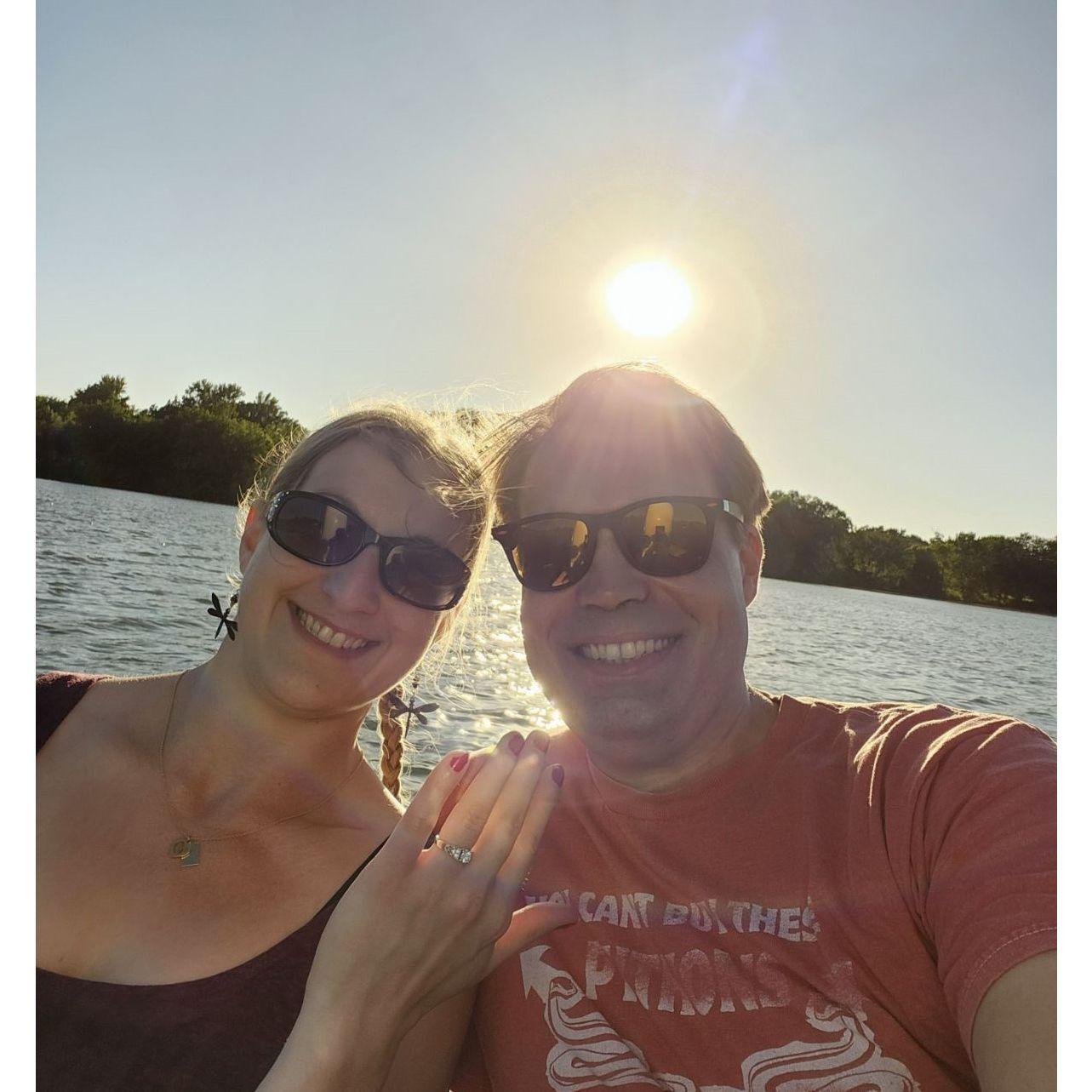 Proposal on the swan paddle boat
