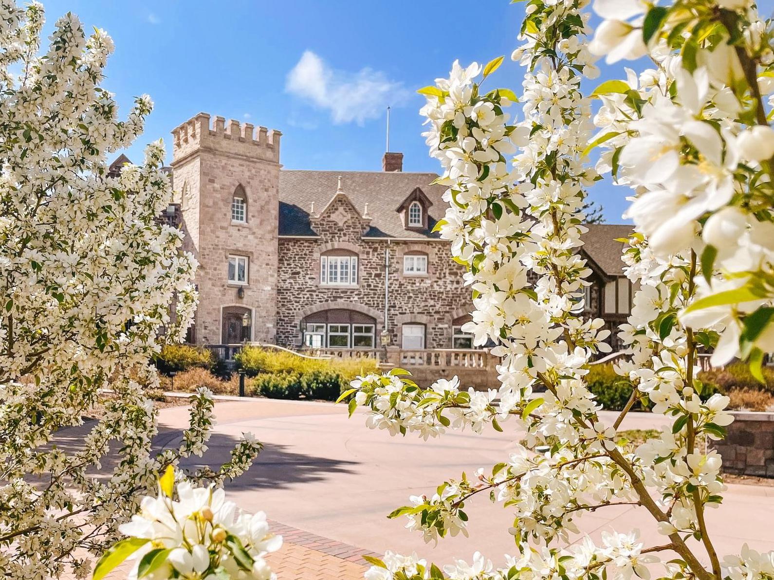 The Wedding Website of Morgan Adams and Kyle Schultz
