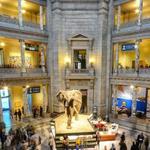 Smithsonian Museums, Galleries, and Zoo