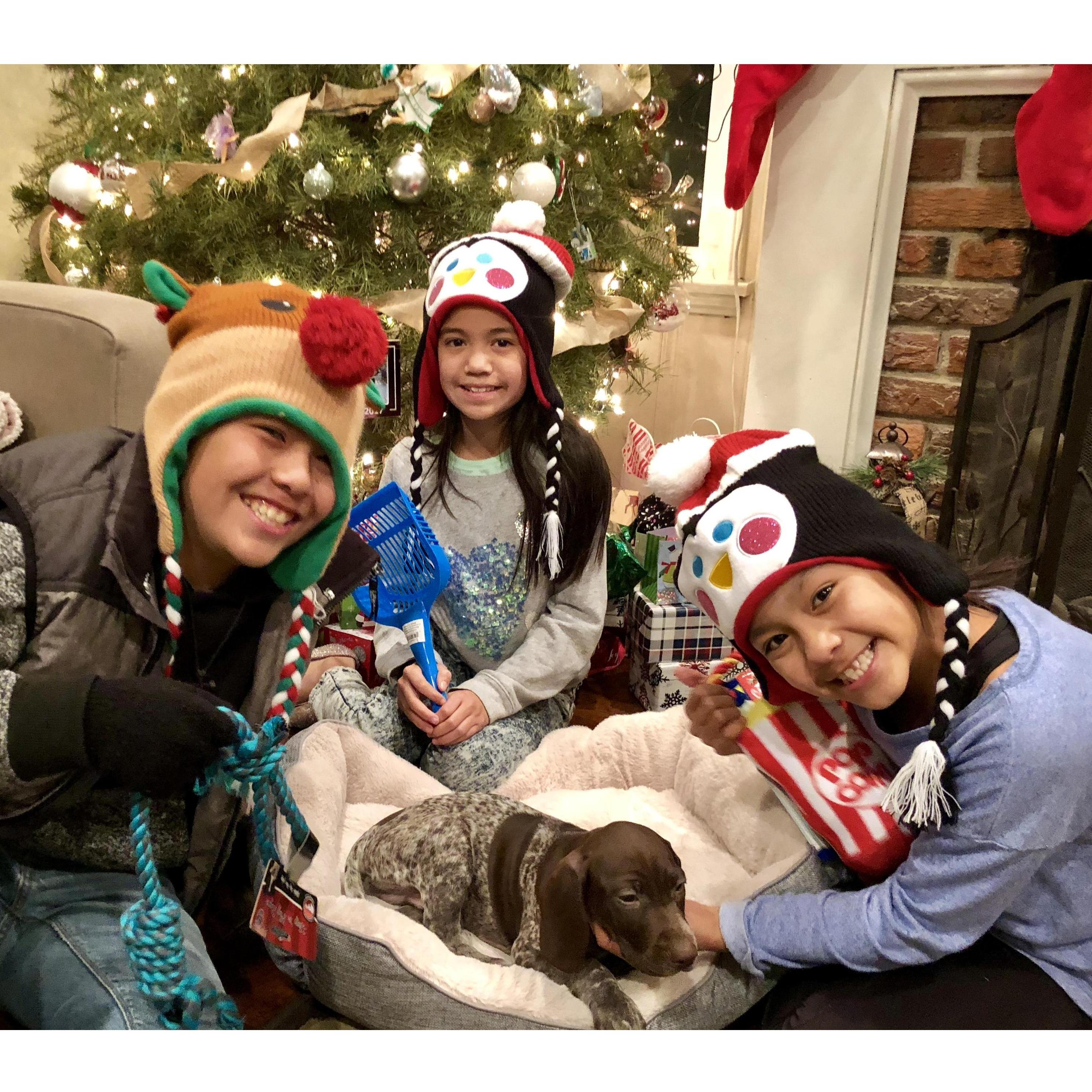 December 2017: We welcomed Copper into our family