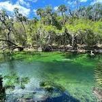 Blue Spring State Park