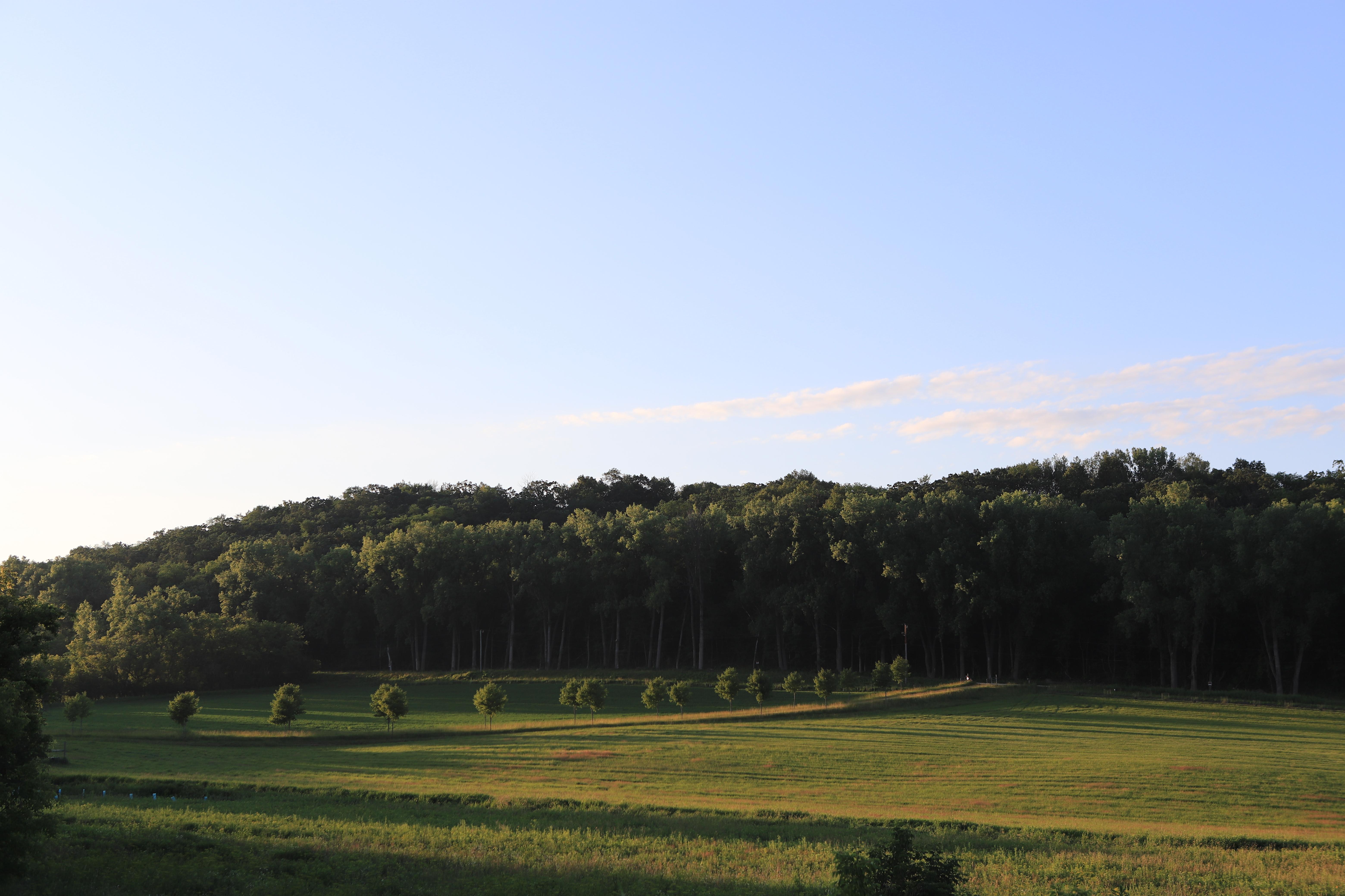 The Wedding Website of Leah Henriksen and John Cannon