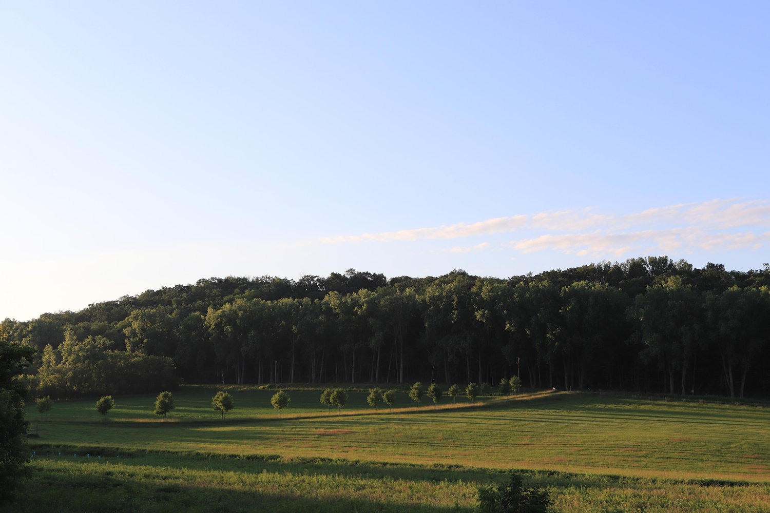 The Wedding Website of Leah Henriksen and John Cannon