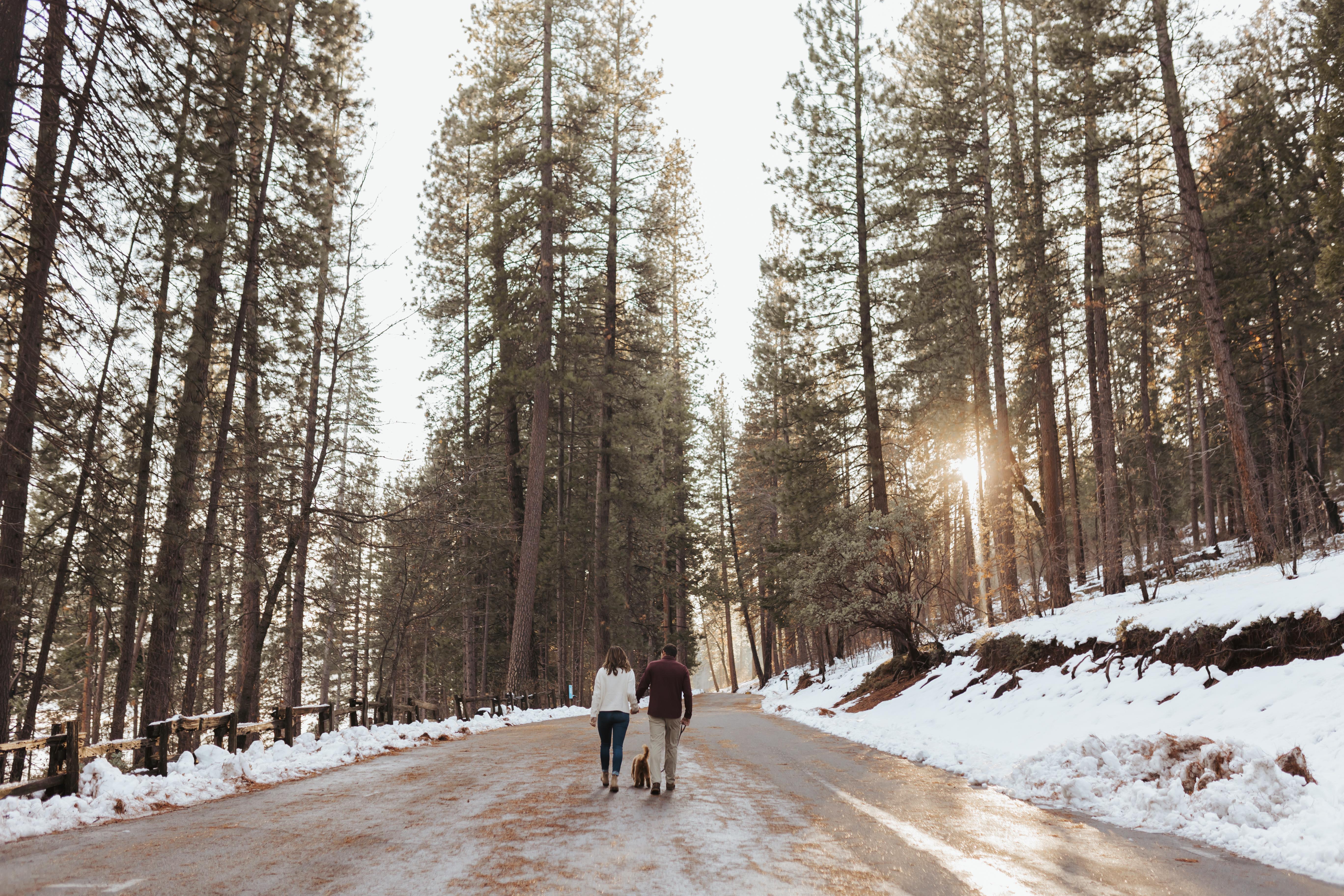 The Wedding Website of Nicholas Herrera and Eleanor Meaden