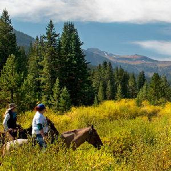 Honeymoon Pick #2 - Montana!