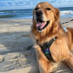 Wrightsville Beach