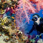 Scuba Diving