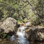 Seven Bridges Trail