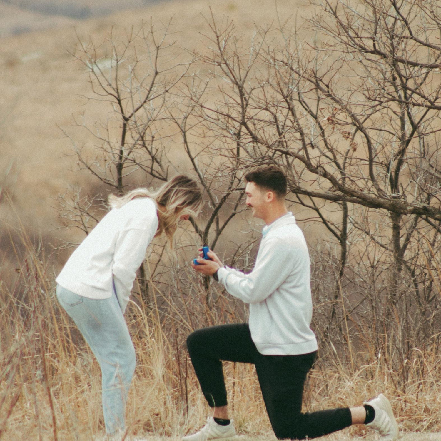 Our proposal!