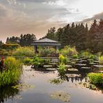 Denver Botanic Gardens