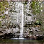 Na Ala Hele: Manoa Falls Trail