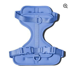 Doxie Harness - Royal Blue