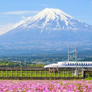 Round Trip Bullet Train - Tokyo to Kyoto