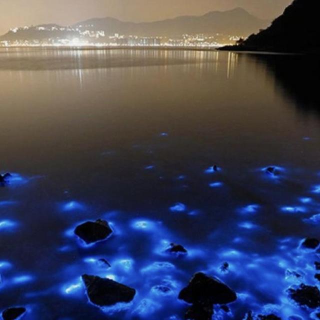 Luminous Lagoon Tour - Honeymoon
