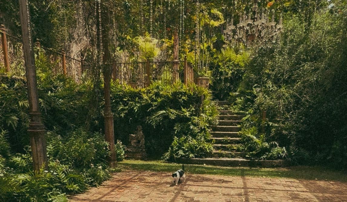 The Wedding Website of Fiona Wilson and Justin Davis