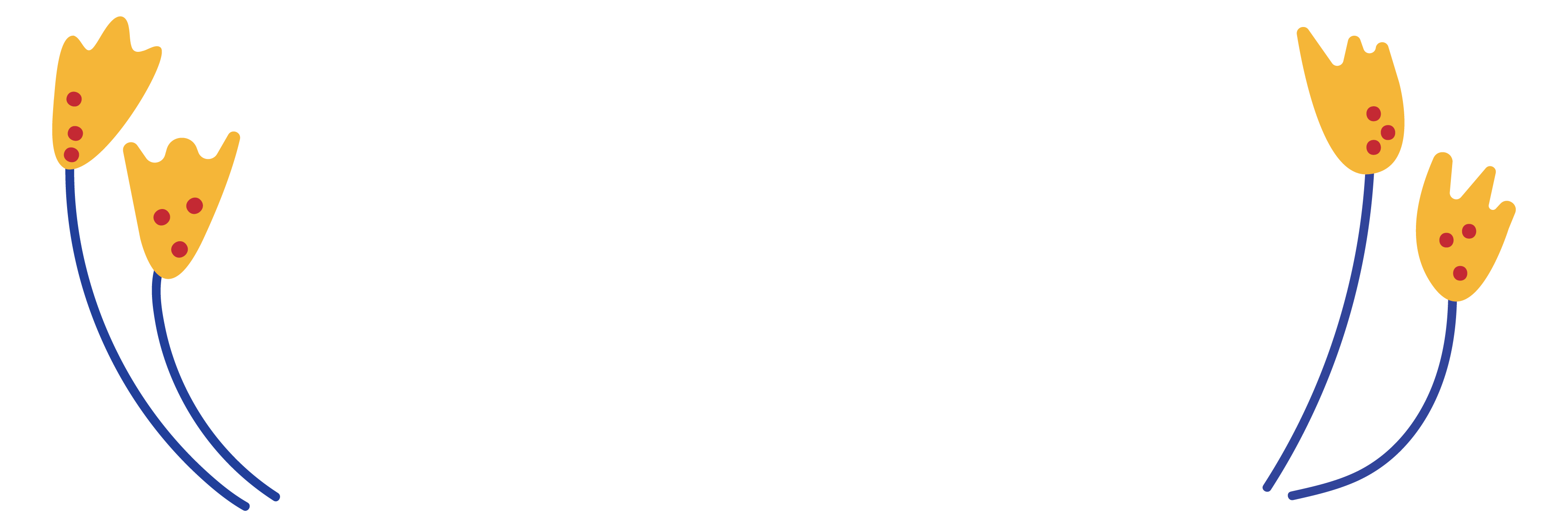 The Wedding Website of Shawn Miller and Ivan Gilkes