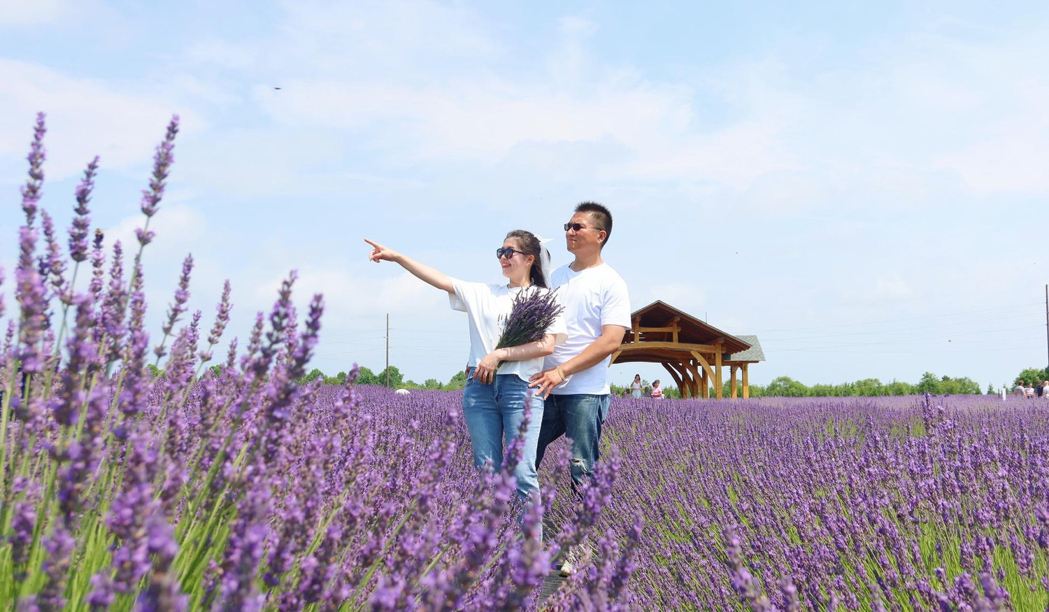 The Wedding Website of Phoebe Yong and Pedro Sun