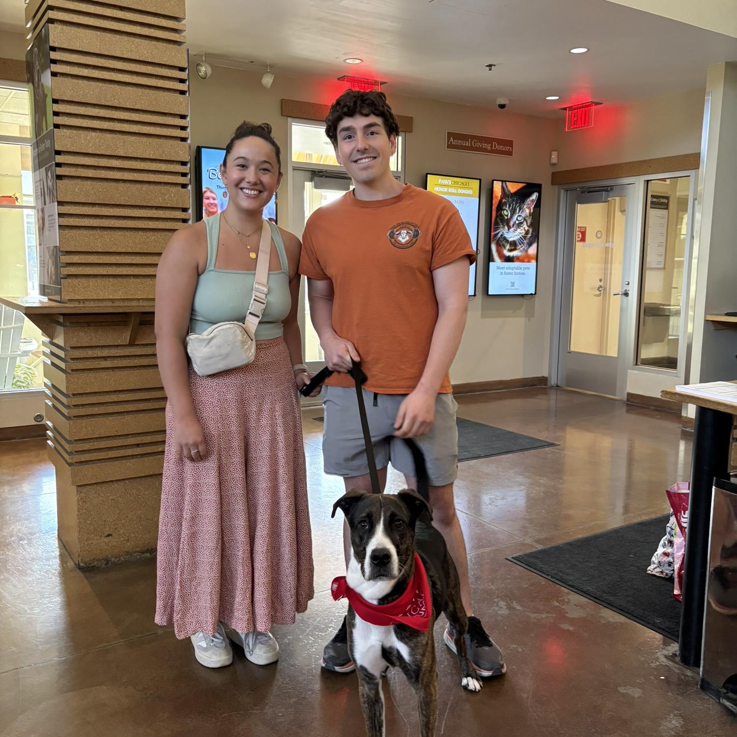 Adoption Day!