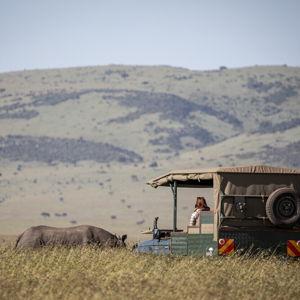 Days 11-13: Kenyan Safari
