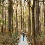 Congaree National Park