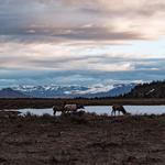 Grand Teton National Park