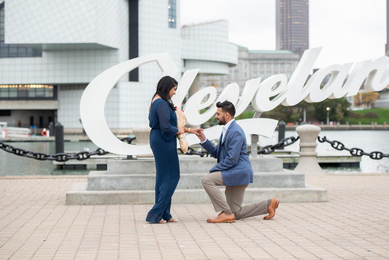 The Wedding Website of Mayank Prasad and Richa Shah