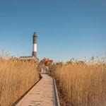 Fire Island