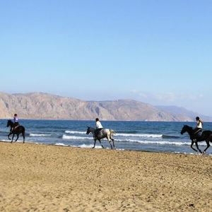 Horseback Ride Through the Cretan Countryside