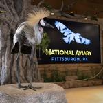 National Aviary
