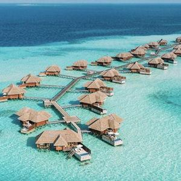 Honeymoon Fund
