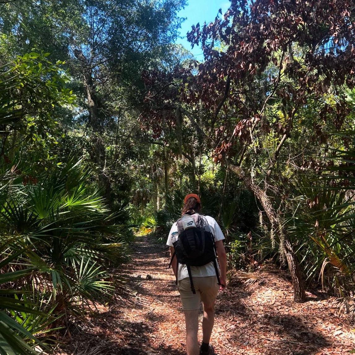 Hunting Island State Park, SC. Diamondback Rattlesnake Trail.