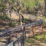 Cliff Carver Alpine Coaster