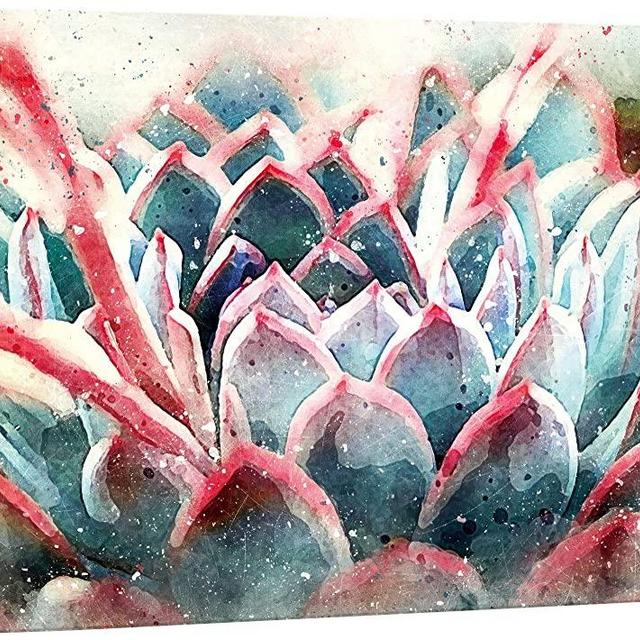 NWT Canvas Print Wall Art Green & Red Echeveria Jalisco's Glow Botanical Succulent Nature Plants Photography Modern Art Southwest Closeup Multicolor for Living Room, Bedroom, Office - 16"x24"