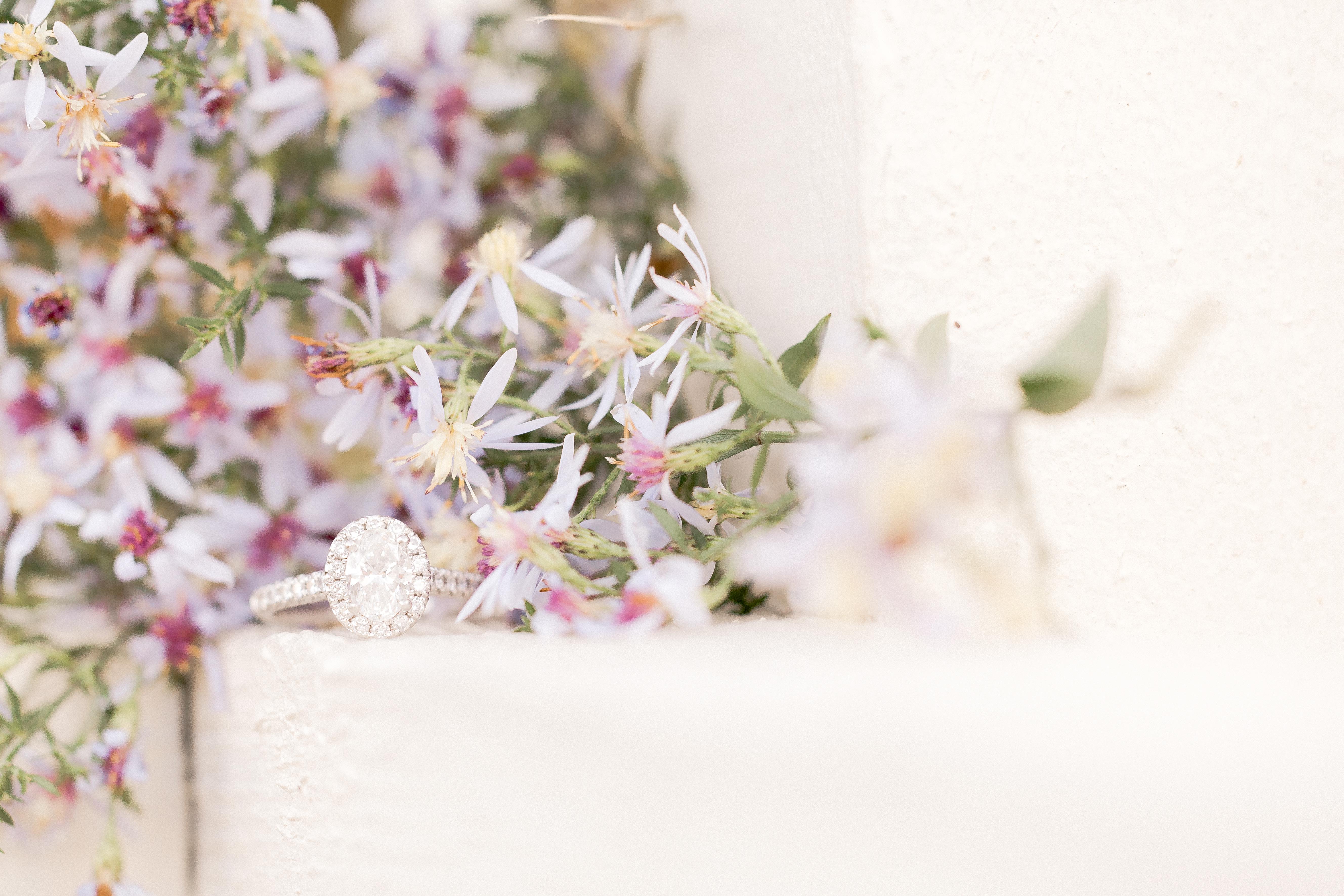 The Wedding Website of John LaFramboise and Chelsea LeBlanc