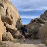 Joshua Tree