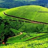 Munnar