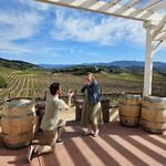 Leoness Cellars