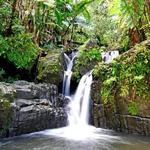 El Yunque National Rain Forest