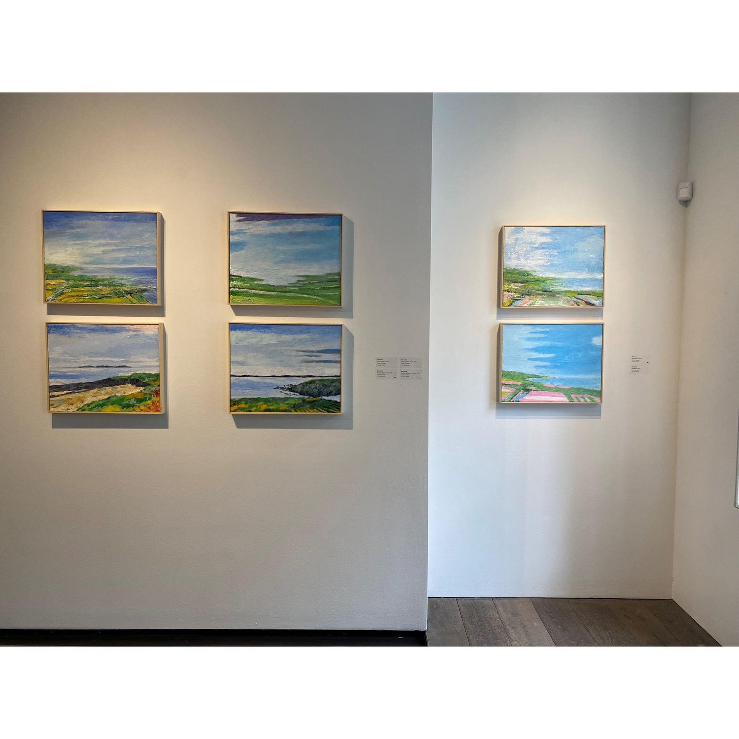 Ben's landscape paintings on display - Summer 2023 at The Bridgette Mayer Gallery in Philadelphia, PA