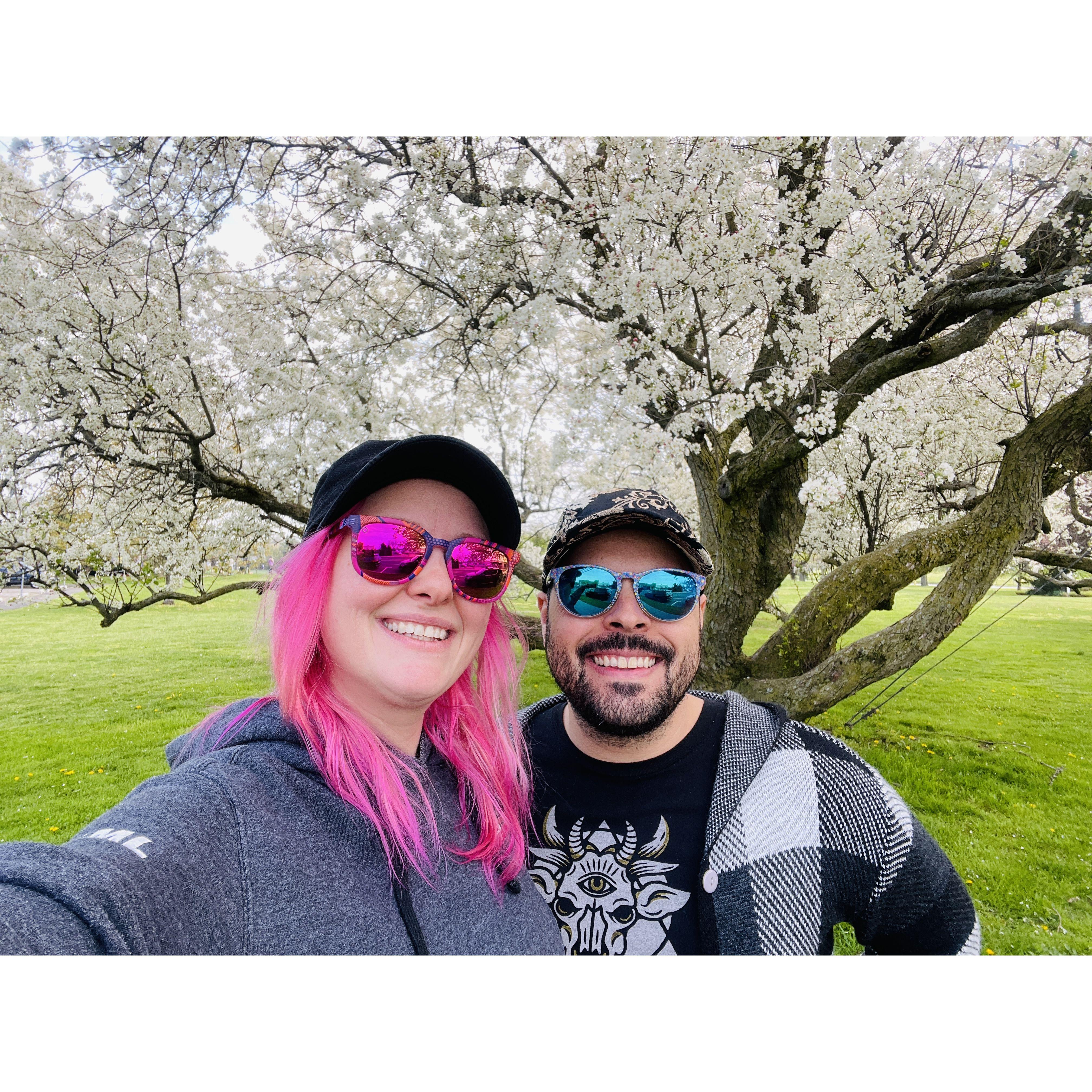 Spring in CT 2024