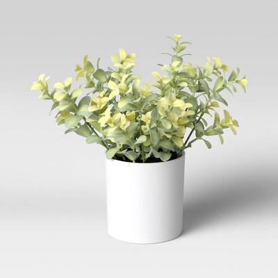9" x 6" Artificial Boxwood Arrangement