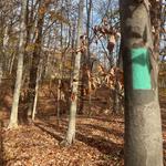 Rock Creek Park