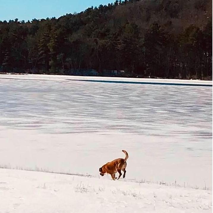 Always a day at the beach with Katie- Walker Pond, Sturbridge