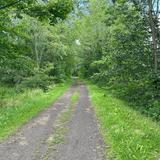 Catskill Scenic Trail