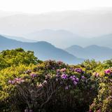 Craggy Gardens