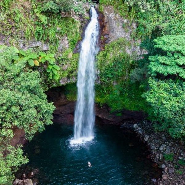 Excursion to Bouma Waterfall Trail