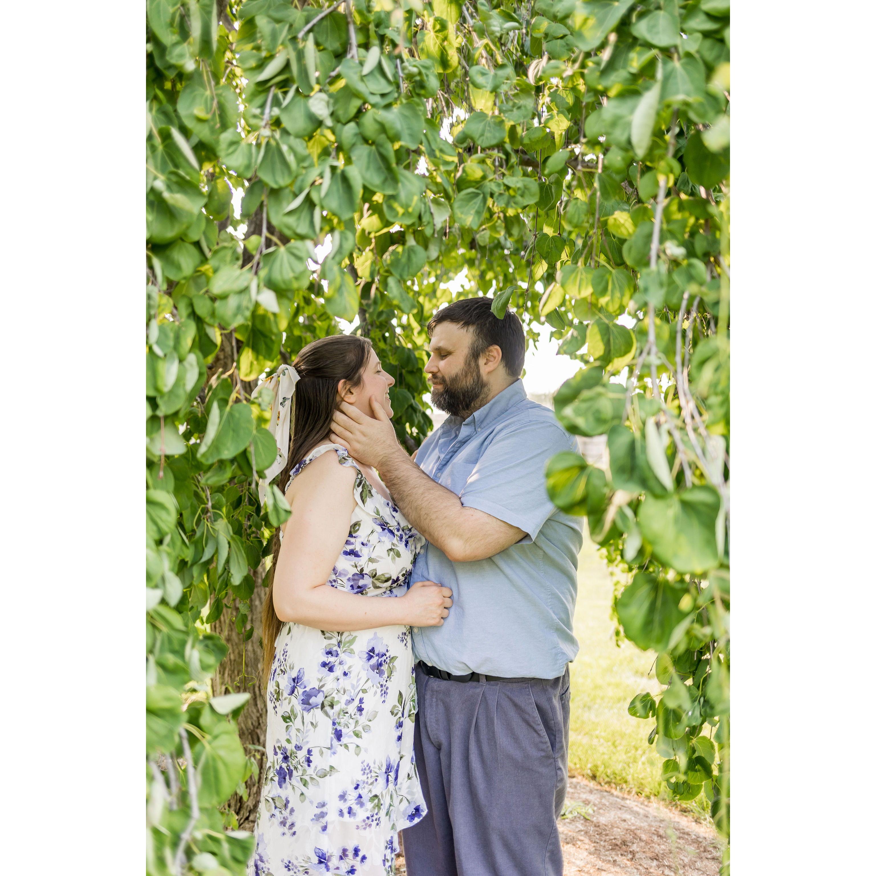 We did an Engagement photo shoot through Minnetrista's paths and gardens in June of 2023.