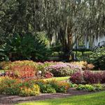 Harry P Leu Gardens